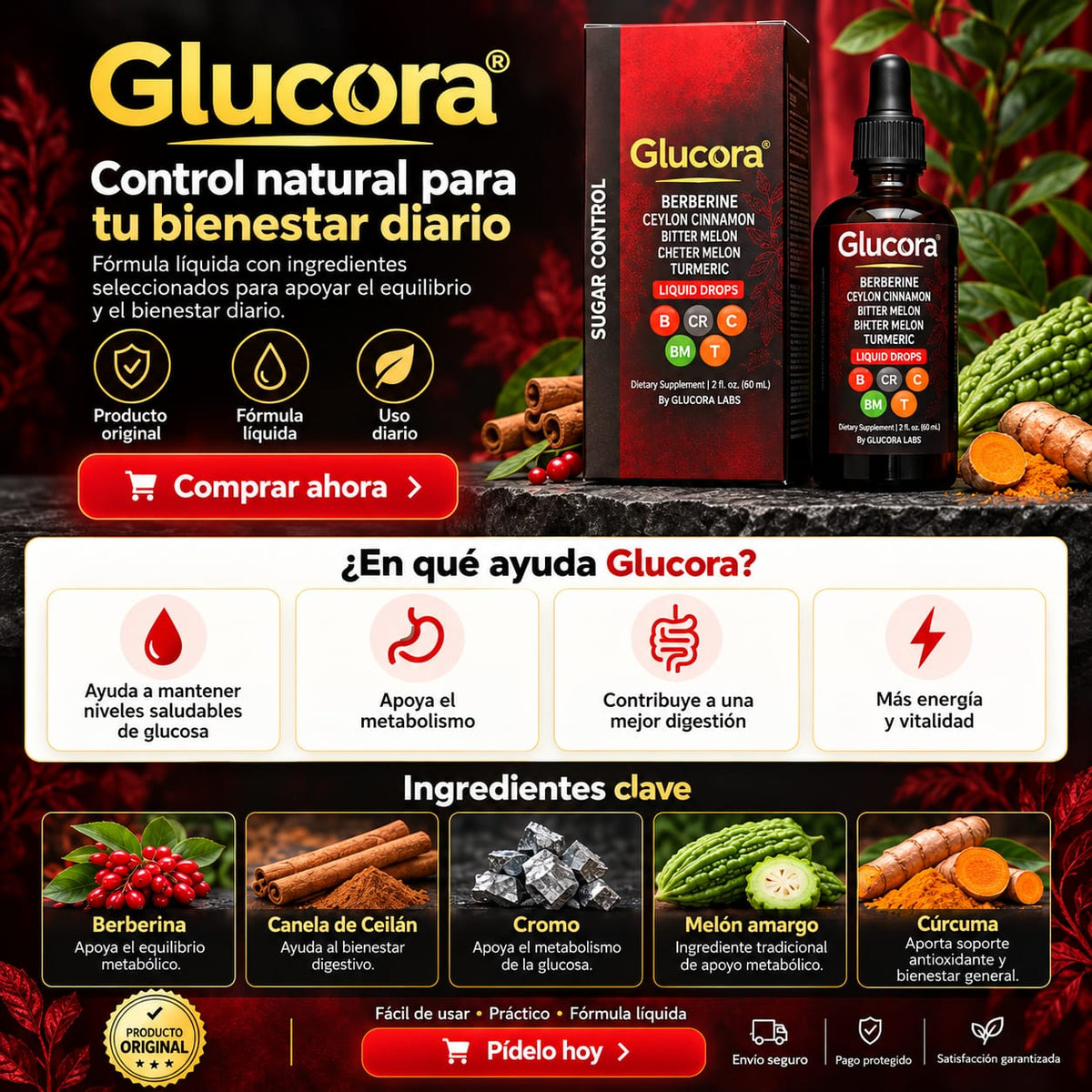 Glucora Berberina | Equilibrio, Bienestar y Control en Cada Gota