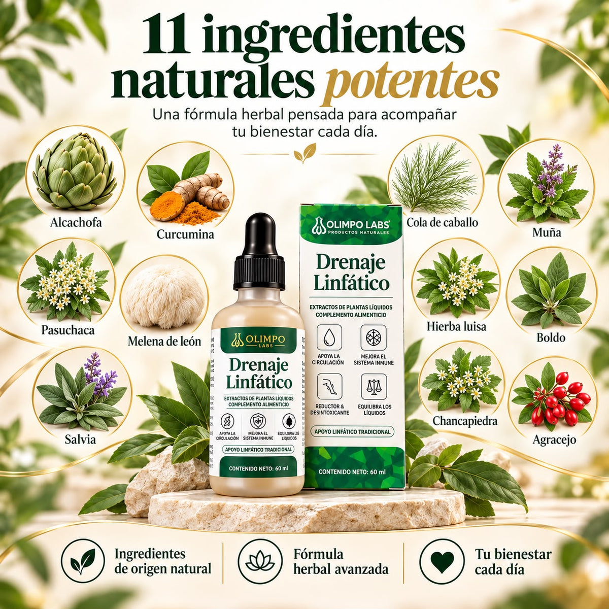 Drenaje Linfático Original │ DESHINCHA ABDOMEN, PIERNAS Y ROSTRO